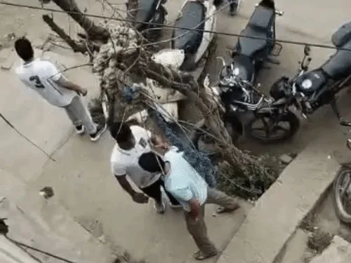 पुलिसकर्मी ने युवक की गर्दन पकड़कर खींचा:झज्जर का युवक बोला- बाइक पर बदमाश बैठाकर फोटो खींचना चाहते थे; चाबी नहीं देने पर गालियां दीं