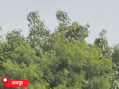 राजस्थान में 12 अक्टूबर से बारिश की संभावना:3 डिग्री तक गिर सकता है तापमान; दिन में तेज गर्मी, रात में ठंडक बढ़ी