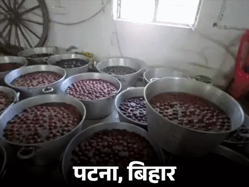 चार राज्यों की 28 MLC सीटों पर काउंटिंग:16 पर NDA आगे; UP की 3 सीटों पर सपा को बढ़त; बिहार के दरभंगा में जनसुराज को लीड
