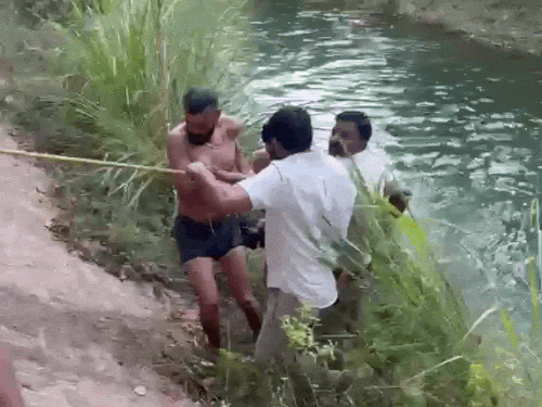 हिसार की नहर में डूबने से 2 युवकों की मौत:लोगों ने बहते देखे शव; नहाते समय गिरने की आशंका, पहचान नहीं