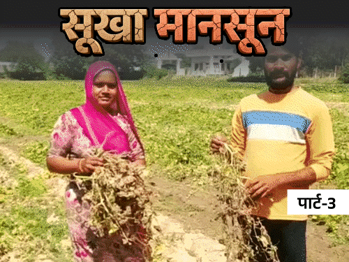 'फसलें जल गईं, बच्चों की फीस के लिए पैसे नहीं':कमजोर मानसून से किसान परेशान; बोले- ट्रेन से पानी मंगवाना पड़ेगा, अकाल घोषित करे सरकार