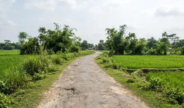 कूचबिहार में DRI ने पकड़ा 12.37 करोड़ रुपये का तस्करी का सोना, 4 गिरफ्तार