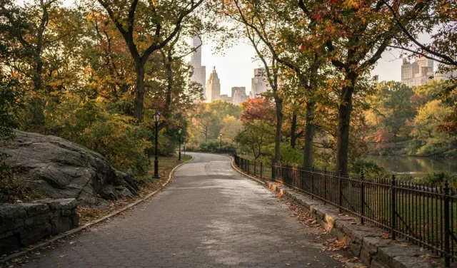 New York City Council ने पारित किया रोमांच कानून, घोड़ा-बग्घी संचालन पर 2028 तक लगेगी रोक